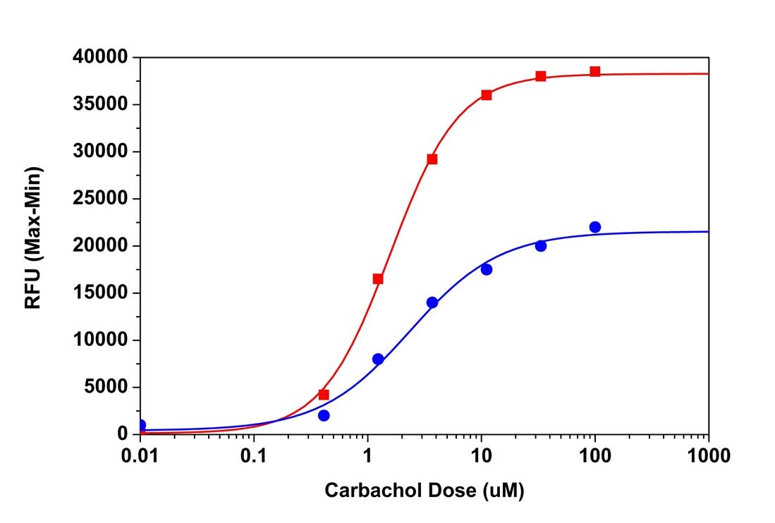 Carbachol dose responses were measured in HEK-293 cells with Fluo-8® AM and Fluo-4 AM. HEK-293 cells were seeded overnight at 40,000 cells/100 µL/well in a 96-well black wall/clear bottom Costar plate. The growth medium was removed, and the cells were incubated with 100 µL of dye-loading solution containing Fluo-8® AM or Fluo-4 AM for 1 hour at room temperature. Carbachol (25 L/well) was added by NOVOstar to achieve the final indicated concentrations. The fluorescence signals were measured at Ex/Em = 490/525 nm. The EC50 of Fluo-8® AM is about 1.2 µM.