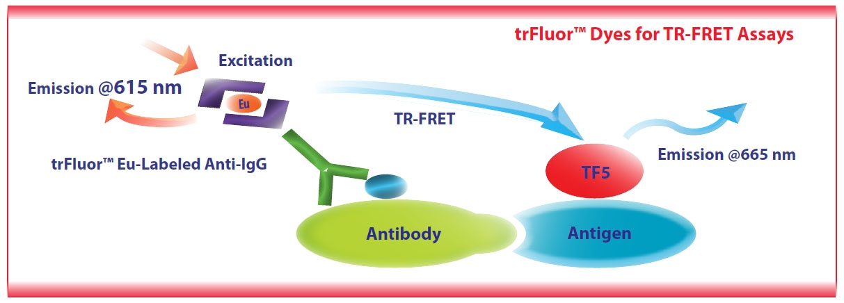 TR-FRET assay principle