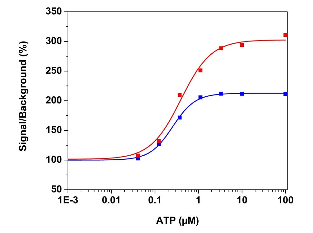 ATP dose responses in CHO-K1 cells measured with Fura-2 AM and Fura-8™ AM