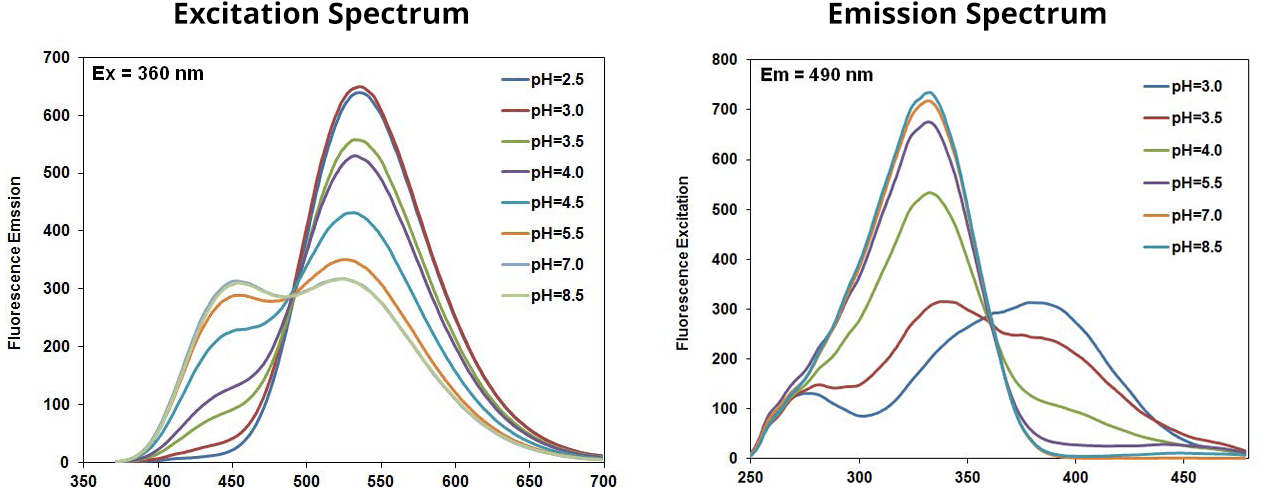 Excitation of PDMPO;Emission of PDMPO