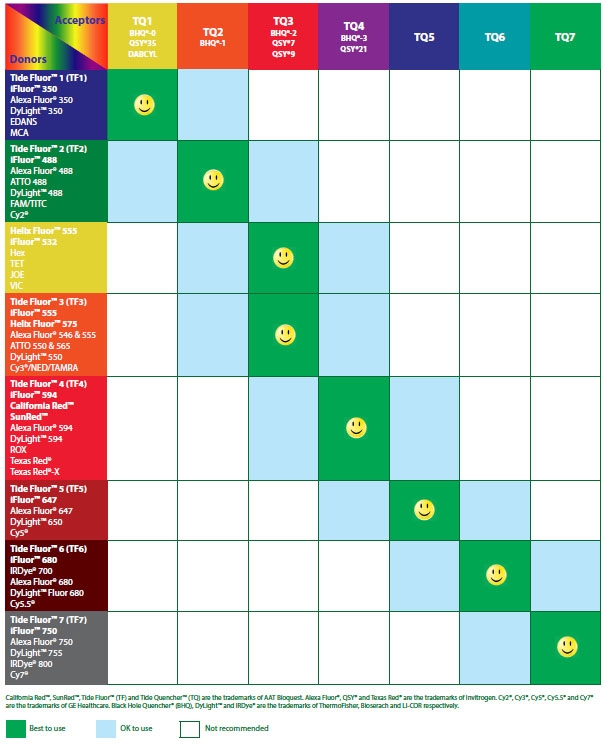 Dye Selection Guide for Preparing FRET Oligonucleotides and Peptides.