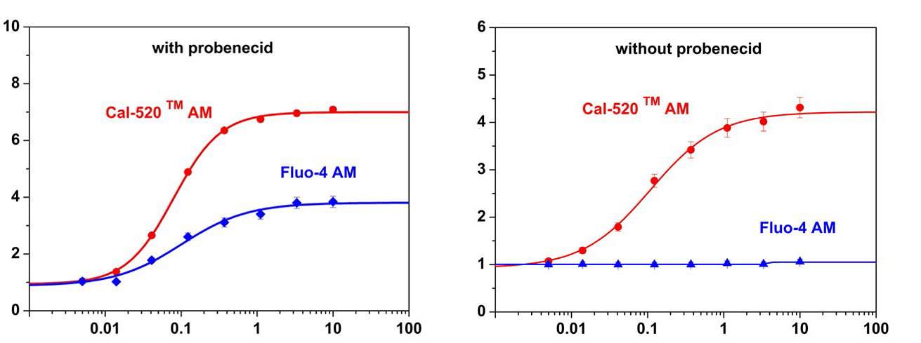 ATP-stimulated calcium responses of endogenous P2Y receptor in CHO-K1 cells incubated with Cal-520™ AM 