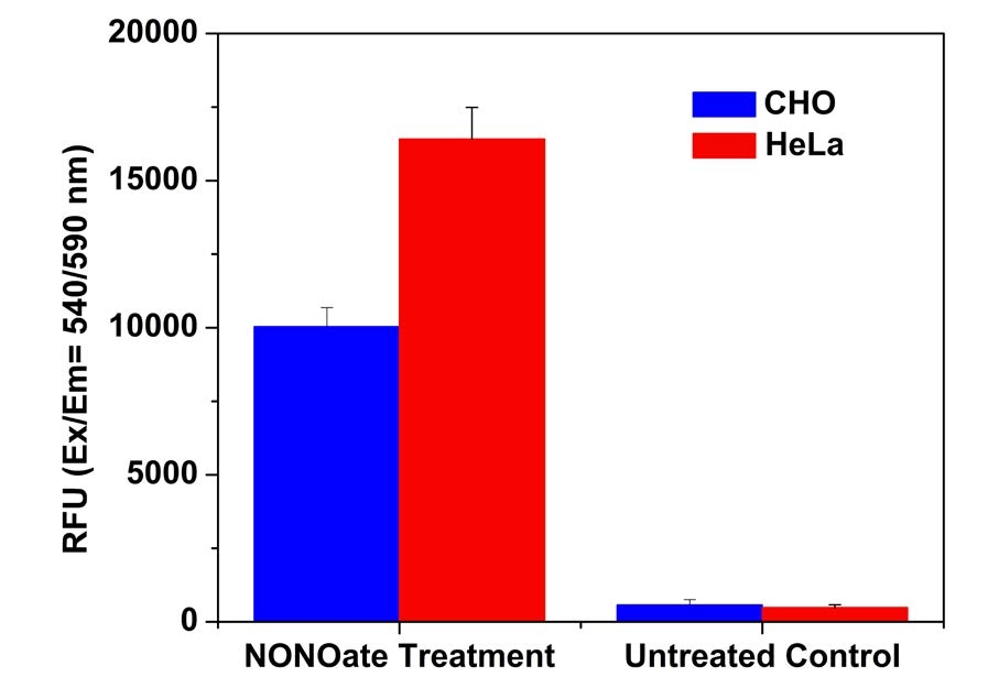 Detection of exogenous nitric oxide (NO) in cells