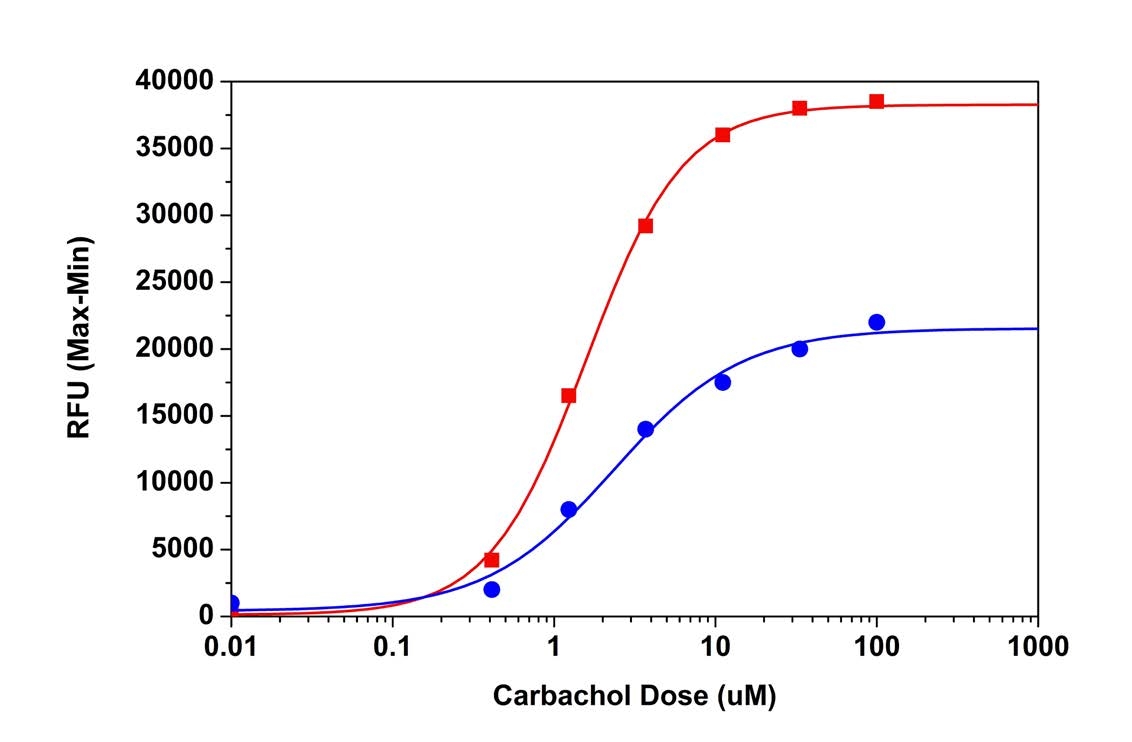 Carbachol dose responses were measured in HEK-293 cells with Fluo-8® AM (Cat# 21080) and Fluo-4 AM. HEK-293 cells were seeded overnight at 40,000 cells/100 µL/well in a 96-well black wall/clear bottom Costar plate. The growth medium was removed, and the cells were incubated with 100 µL of dye-loading solution containing Fluo-8® AM or Fluo-4 AM for 1 hour at room temperature. Carbachol (25 µL/well) was added by NOVOstar to achieve the final indicated concentrations. The fluorescence signals were measured at Ex/Em = 490/525 nm. The EC50 of carbachol measured with Fluo-8® AM is about 1.2 µM.