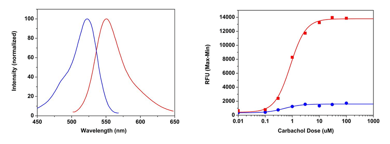excitation and emission spectra of Rhod-4™;Carbachol dose responses were measured in HEK-293 cells