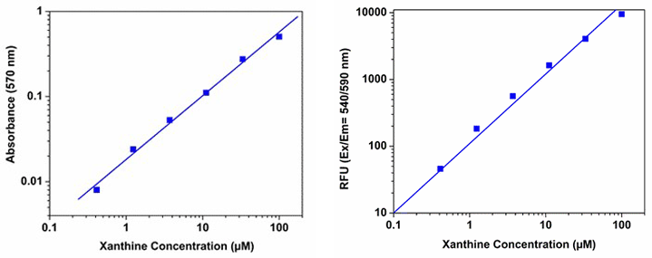 Xanthine dose responses;Xanthine dose responses
