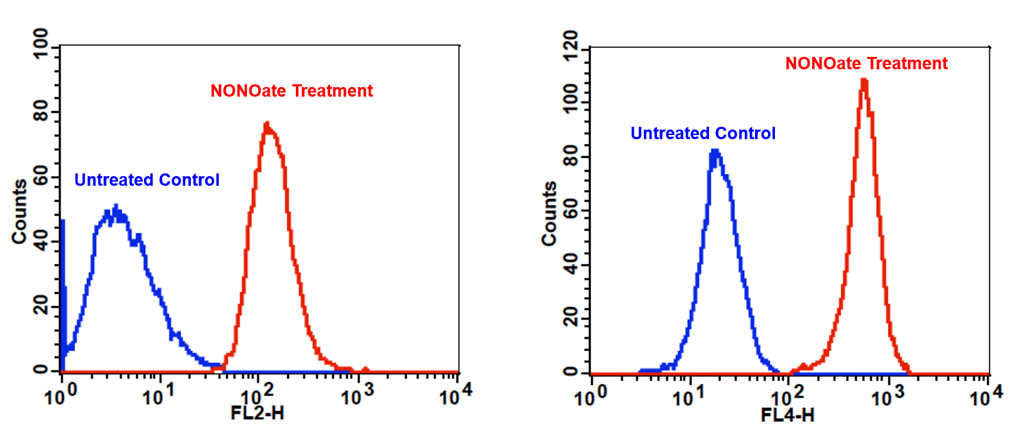 Detection of exogenous nitric oxide (NO) in Jurkat cells;Detection of exogenous nitric oxide (NO) in Jurkat cells