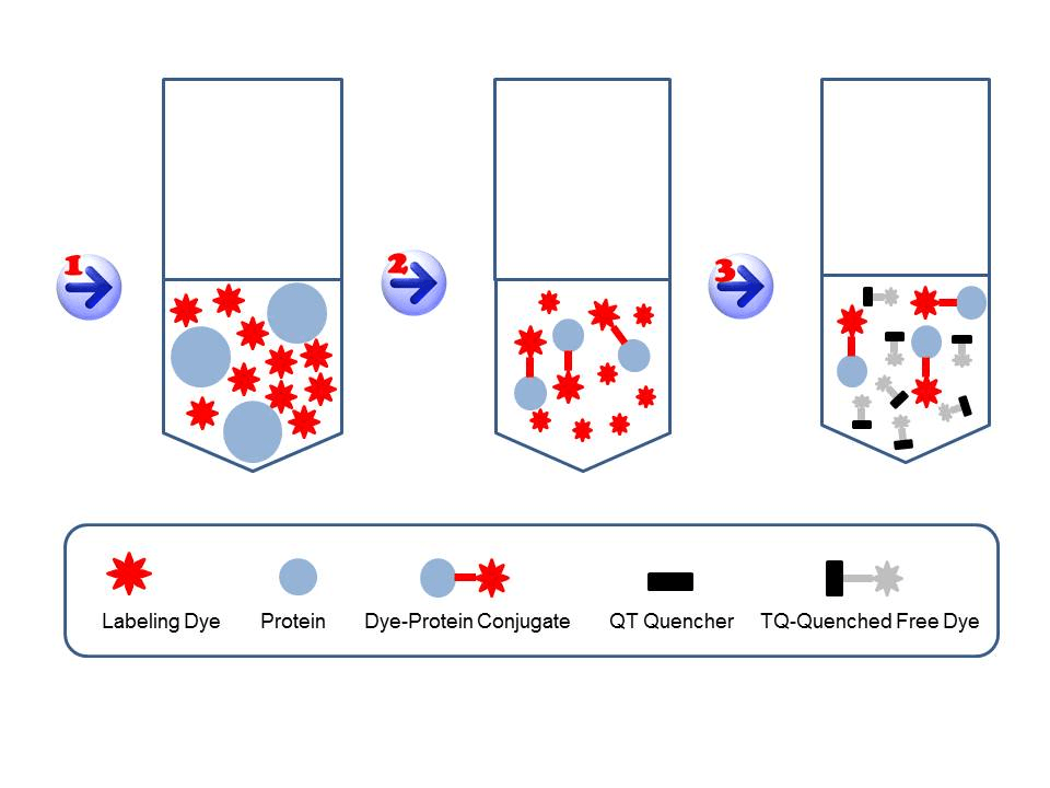ReadiLink™ Kit Labeling Principle