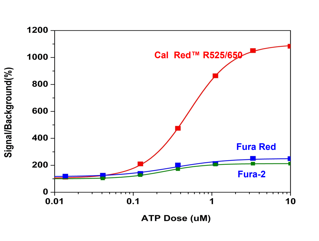 ATP-stimulated calcium response of endogenous P2Y receptor in CHO-K1 cells incubated with different Ca2+ indicators