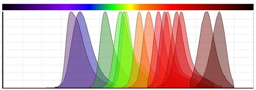 Emission spectra of iFluor<sup>&reg;</sup> product series