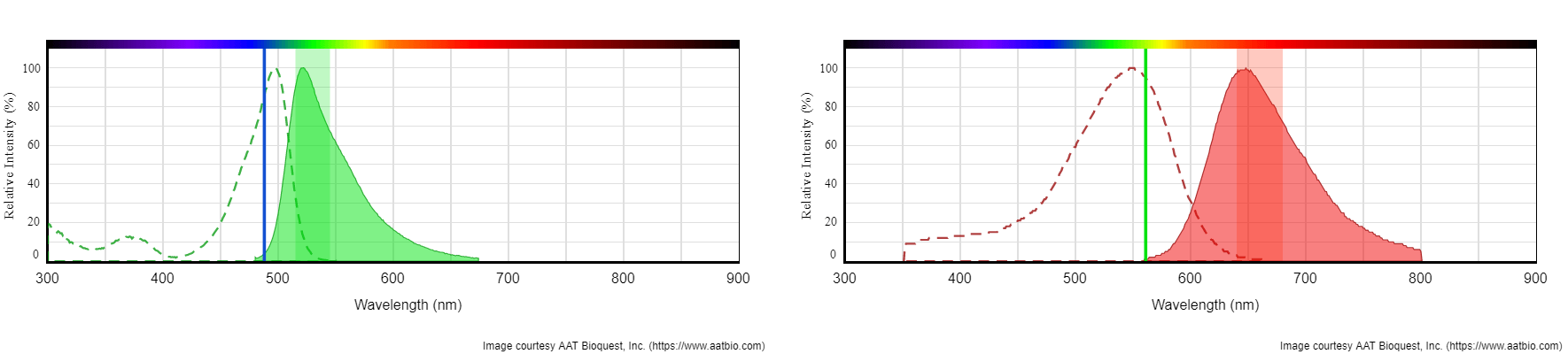 Absorption and emission spectrum for Tunnelyte&trade; Green;Absorption and emission spectrum of Tunnelyte&trade; Red