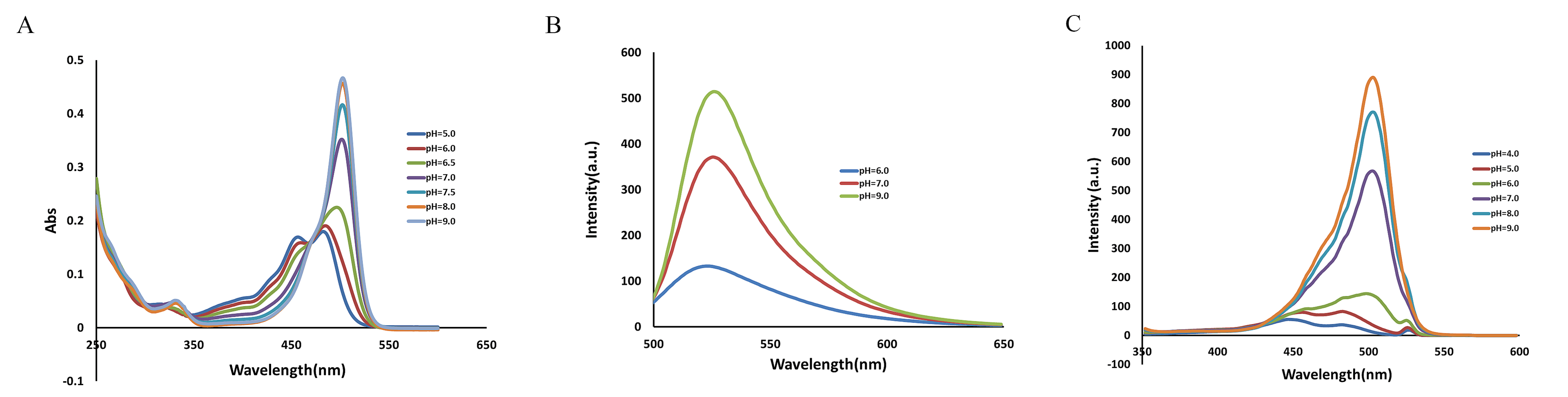 absorbance spectra of BCFL;emission spectra of BCFL;excitation spectra of BCFL