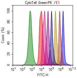 Cell tracking assay with CytoTell™ Green. Jurkat cells (2 x 106) were plated and stained with CytoTell™ Green dyes on day 0. The cells were passed serially at 1:1 ratio and passaged for 9 days. Fluorescence intensity was measured using NovoCyte flow cytometer from ACEA Biosciences, Inc. Successive generations were represented by different colors.