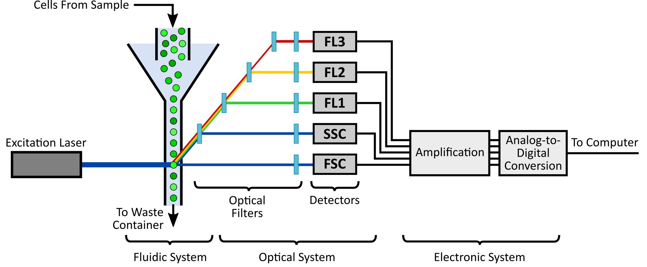 Schematic of a common flow cytometer, illustrating the fluidic, optical and electronic systems.