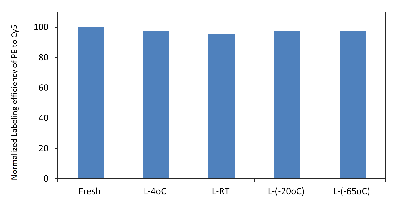 Comparison of lyophilized ReadiUse™ PE and Fresh PE labeling efficiencies.