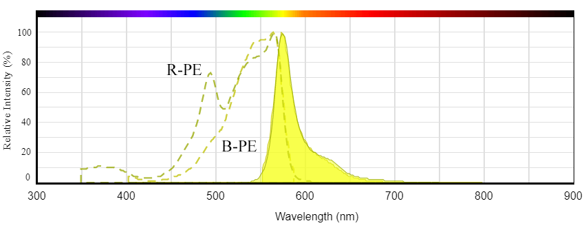 Comparison of absorbance and emission spectra of R-PE and B-PE.