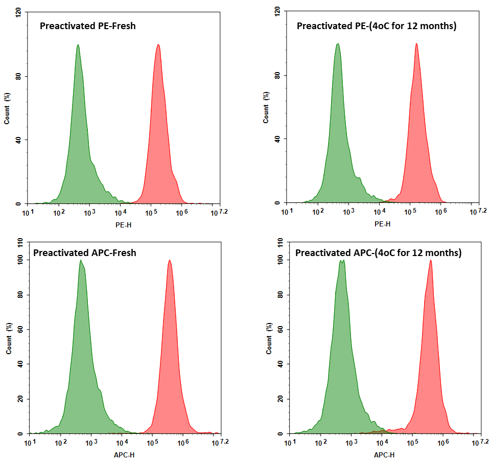 Flow cytometry analysis of Jurkat cells