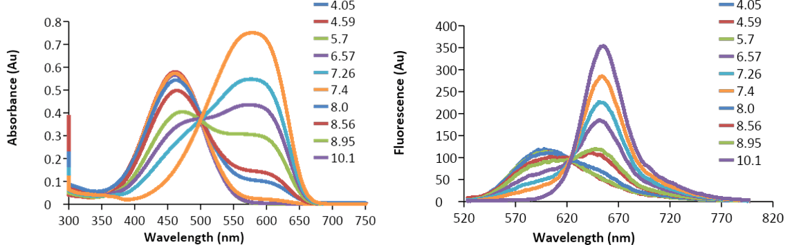 Absorbance Spectra;Emission Spectra