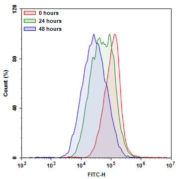 Retention test