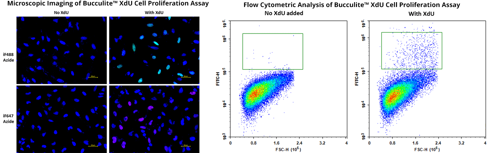 Microscopic imaging;Flow cytometric analysis