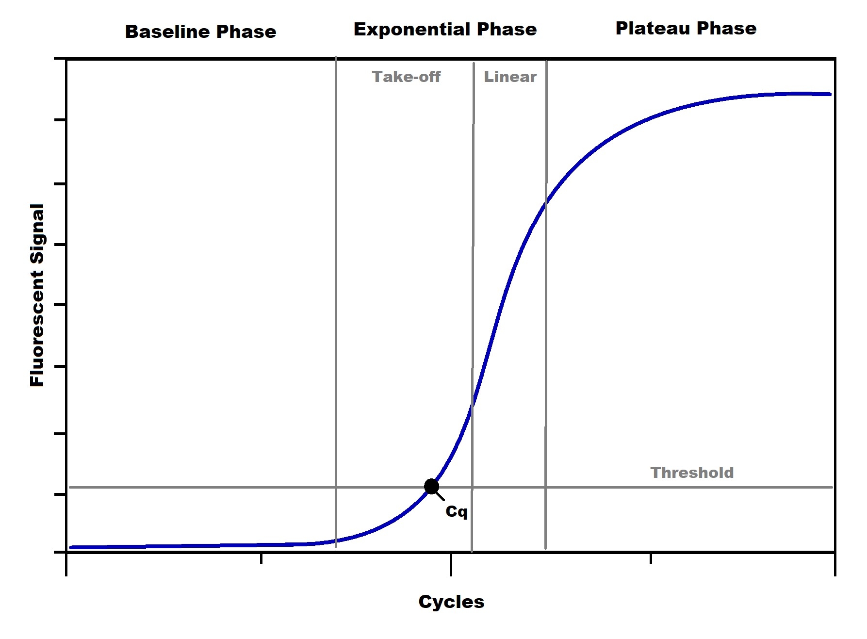 Amplification Curve Phases, Threshold, and Cq Point.
