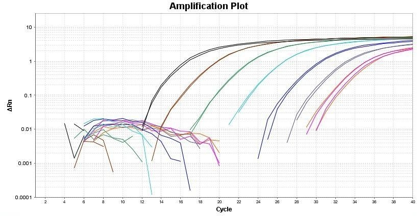 Quantitative PCR results targeting GAPDH