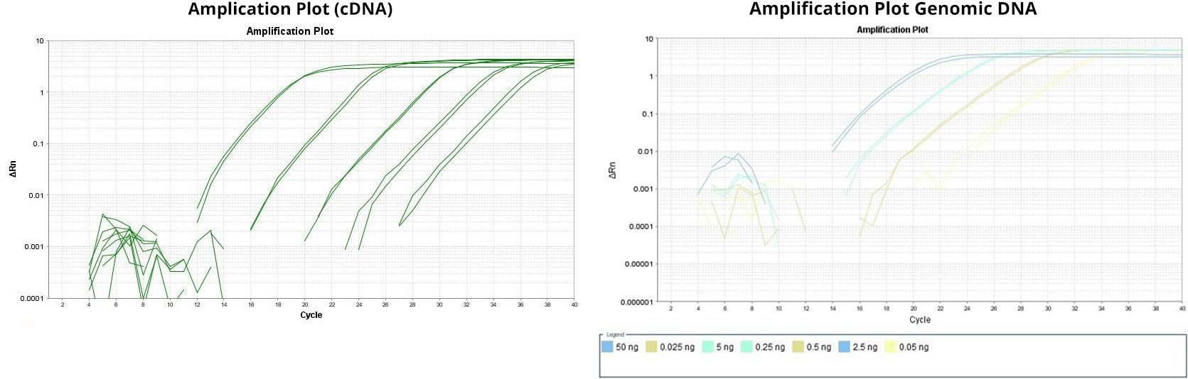 A Practical Overview of qPCR | AAT Bioquest