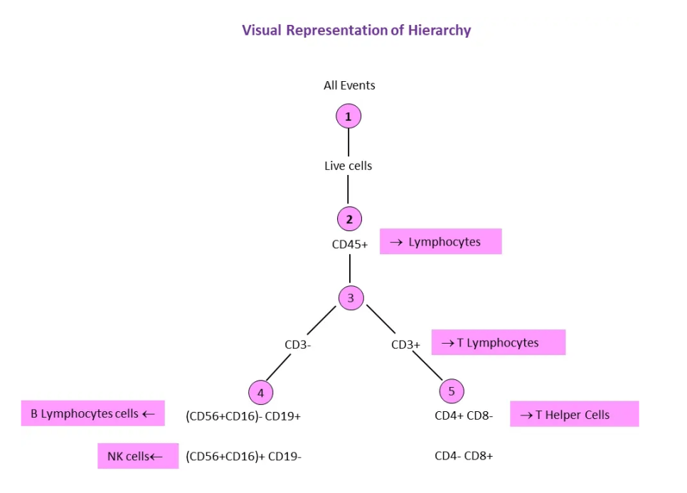 Hierarchy