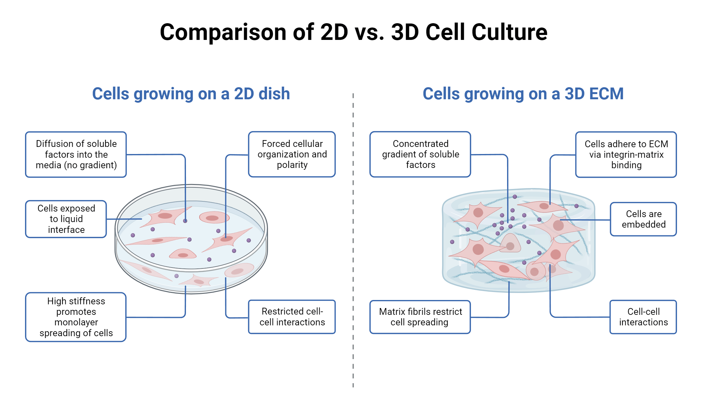 Gel Box Diagram