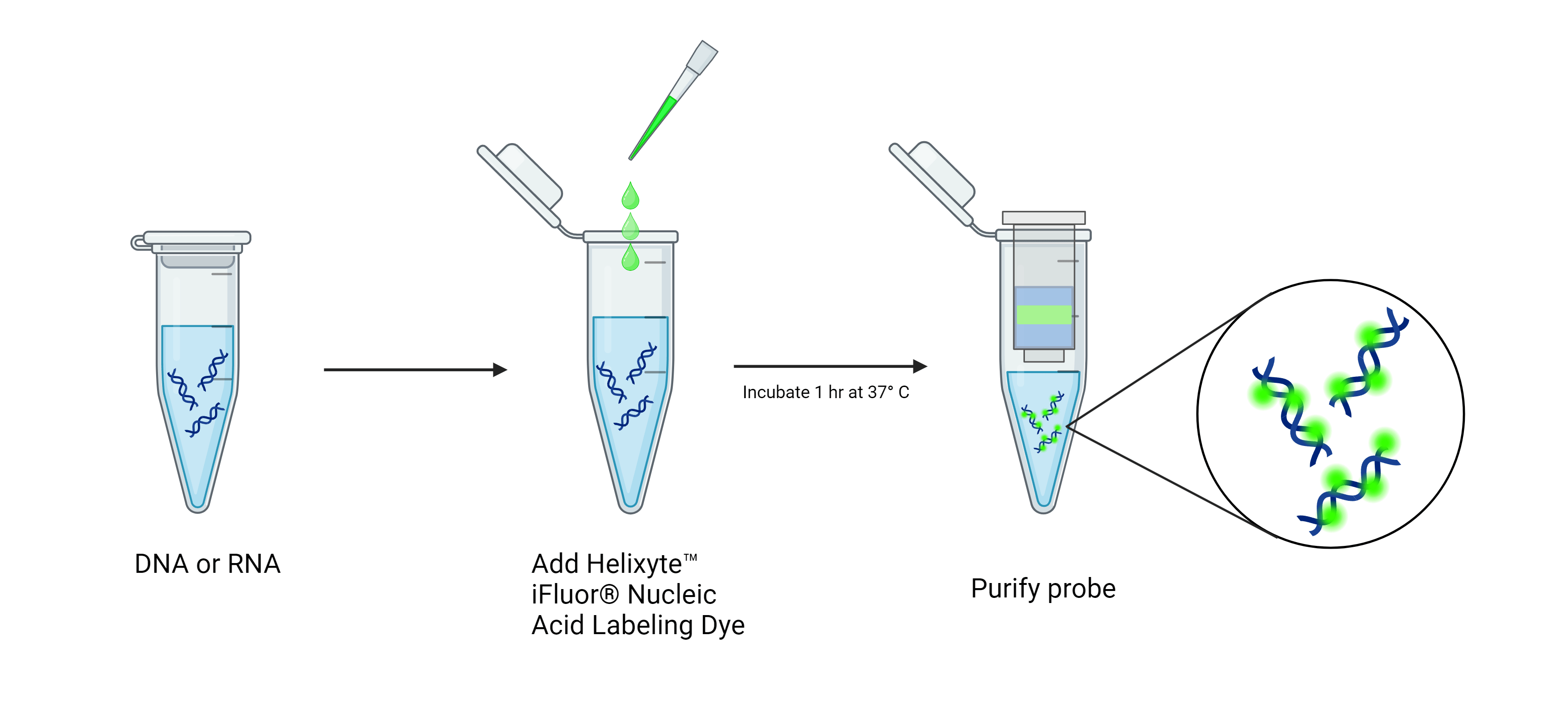 Helixyte Workflow;