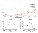 Two-photon excitation spectra of Cal-520, Cal-590 and Cal-630. (A) Two-photon excitation spectra of the three dyes, indicated in green (Cal-520), red (Cal-590) and black (Cal-630), measured for an excitation spectrum between 850 nm and 1100 nm in steps of 50 nm. The single data points are interpolated with a polynomial function for display. (B) Two-photon excitation spectrum of Cal-590 for wavelengths between 1010 nm and 1100 nm measured in steps of 10 nm. (C) Same as in (B) but for Cal-630 between 1000 nm and 1225 nm, measured in steps of 25 nm. Source: Birkner, Antje. Development of a deep two-photon calcium imaging method for the analysis of cortical processing in the mammalian brain. Diss. Technische Universität München, 2019.