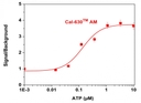 ATP-stimulated calcium responses of endogenous P2Y receptor in CHO-K1 cells incubated with Cal-630&trade; AM (red curve). CHO-K1 cells were seeded overnight at 50,000 cells per 100 uL per well in a Costar black wall/clear bottom 96-well plate. 100 uL of 5 &micro;M Cal-630 &trade; AM in HHBS (with 1.0 mM probenecid) was added into the cells and incubated at 37 &deg;C for 1 hour. ATP (50 uL/well) was added using FlexSation to achieve the final indicated concentrations.