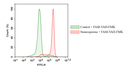The increase of caspase is measured by FAM-VAD-FMK  in Jurkat Cells treated with Staurosporine. Jurkat cells were treated with or without 1 µM of Staurosporine for 2 hours before FAM-VAD-FMK were added. Cells were treated with FAM-VAD-FMK for 1 hour at 37C, 5% CO2 incubator. The response was measured with ACEA NovoCyte flow cytometer with FITC channel.
