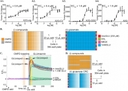 <p>Controls and experimental setup for calcium flux assays. (A) CRC curves for CTZ in the presence of 1 mM glutamate from (1) A2Q-stg, (2) A2Q-C3, (3) A2-GSG, (4) A2Q cell lines in the calcium flux assay. These CRCs are calculated from the GLUslope1 (t = 122-125s) window. Calculated EC50 values are included in the top left of the graph. %max GLUslope = (GLUslope&ndash;mean VHLslope) / (mean maxGLUslope&ndash;mean VHLslope) as described in methods. (B) Compound and glutamate plates added to cells by the FDSS in our Fluo-8 calcium flux compound CRC assay. (i) Compounds (orange) are added as a 30 &mu;M&ndash; 30 nM CRC (decreasing color saturation). (ii) Controls to determine a Z&rsquo; for each plate line the edges of the glutamate plates. Positive control = 250 &mu;M glutamate (maxGLU, red), high calcium buffer vehicle (VHL, green), and negative control = 30 &mu;M NBQX (NBQX, pink). 1 mM glutamate is added across the plate (blue) with columns 12 and 23 used as a 1mM glutamate and DMSO control. (C) Vehicle subtracted, normalized fluorescence data readout for the FDSS on A2Q-stg cells in a calcium flux experiment showing the compound and glutamate applications at 10s and 120s, respectively. Controls are shown in colors corresponding to their colors in the glutamate plate in (D). Different hit windows are shaded in blue (GLUslope1, 122-125s), red (GLUslope2, 126-132s), yellow (GLUslope3, 140-150s), green (GLUmaxmin). The orange window is a reference baseline (CMPD baseline) prior to the glutamate addition used to determine if the compound shows activity in the absence of glutamate. (D) Compound and glutamate plates added to cells by the FDSS in our Fluo-8-based glutamate potency fold-shift assay. (i) Compounds (orange) are first added at 30 &mu;M with DMSO controls in columns 1,24, and also in K1-K12, F13-23, P13-23, overlapping with glutamate concentration curves for a per plate comparison to compound. (ii) Controls are loaded on the edge as in (Bii) and a glutamate CRC is loaded horizontally ranging from 4 mM to 10 pM (decreasing color saturation). *Compounds that were selected as hits using the VSD assay were subsequently screened against the calcium permeable A2Q-stg and A2Q-C3 cell lines in a glutamate potency fold-shift assay using the calcium sensing dye Fluo-8 (AAT Bioquest cat #21080). Source: Graph from <strong>Screening for AMPA receptor auxiliary subunit specific modulators</strong> by Caleigh M. Azumaya, et al., <em>PLOS ONE</em>, Mar. 2017.&nbsp;</p>