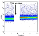 The&nbsp;FCCP induced intracellular Magnesium release was measured by Mag-520<sup>TM</sup>.&nbsp;Cells were incubated with Mag-520&trade; AM dye for 30 min at 37 &deg;C before 20 &micro;M FCCP was added into the cells. The baseline was acquired and the rest of the cells were analyzed after the addition of&nbsp;FCCP. The response was measured over time. The analysis was done on NovoCyte&trade; 3000 Flow Cytometer.