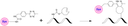 Schematic illustrating the strain‐promoted inverse‐electron‐demand Diels–Alder (iEDDA) reaction between a tetrazine–dye conjugate and a trans‐cyclooctene (TCO)–modified biomolecule. The tetrazine–dye selectively and rapidly reacts with the TCO moiety on the biomolecule to form a stable linkage, labeling the nucleic acid with the dye. This bioorthogonal “click chemistry” process is fast, selective, and well‐suited for biocompatible labeling applications.