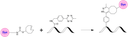Schematic illustrating the strain‐promoted inverse‐electron‐demand Diels–Alder (iEDDA) reaction between a trans‐cyclooctene (TCO)–dye conjugate and a tetrazine‐modified biomolecule. The TCO–dye adduct selectively and rapidly couples with the tetrazine moiety on the biomolecule to form a stable linkage. This bioorthogonal “click chemistry” reaction is fast, selective, and well‐suited for biocompatible labeling applications.