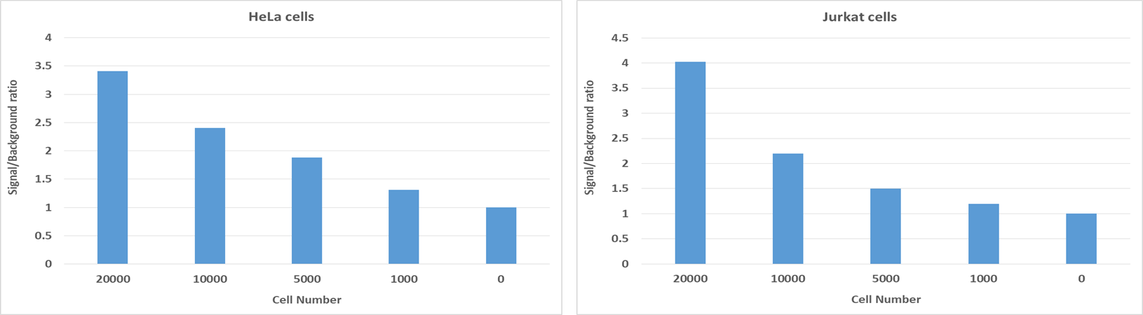 Cell number was determined with XTT Assay. HeLa cells at 1000 to 20,000 cells/well/100 µL were added in a clear bottom 96-well plate. The absorbance was measured at 450 nm and 660 nm at 4 hours after XTT solution incubation with a ClarioStar absorbance microplate reader. The specific absorbance signals were determined using the equation shown on the protocol and signal/background ratio (well with no cells) was measured and plotted.