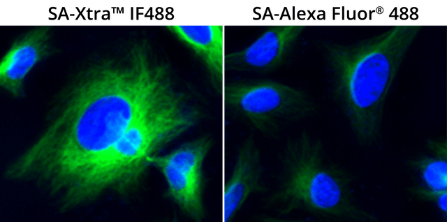 Streptavidin comparison stain