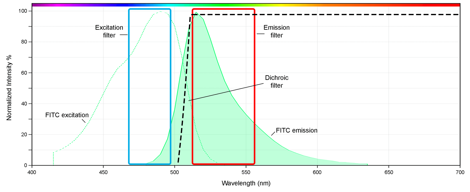 Spectrum