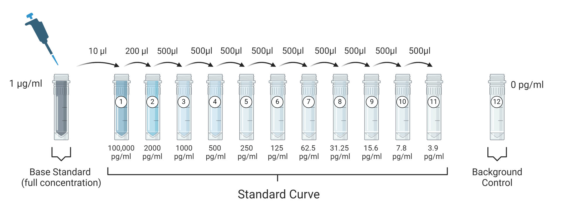 Serial Dilution