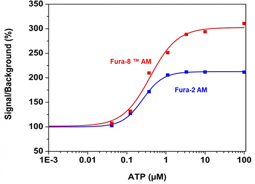 Fura8vsFura2