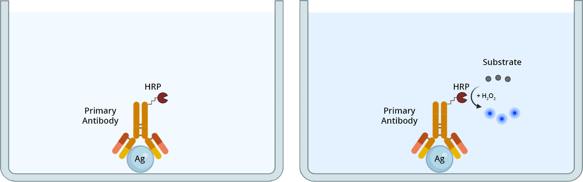 Colorimetric Direct ELISA