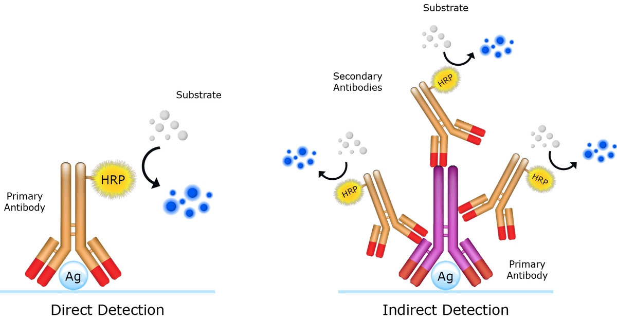 Direct and Indirect detection