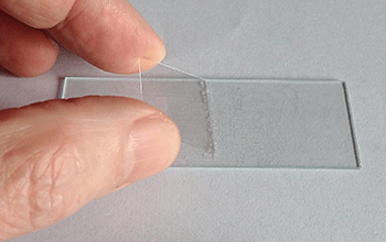 Microscope slide