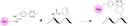 Schematic illustrating the strain‐promoted inverse‐electron‐demand Diels–Alder (iEDDA) reaction between a tetrazine–dye conjugate and a trans‐cyclooctene (TCO)–modified biomolecule. The tetrazine–dye selectively and rapidly reacts with the TCO moiety on the biomolecule to form a stable linkage, labeling the nucleic acid with the dye. This bioorthogonal “click chemistry” process is fast, selective, and well‐suited for biocompatible labeling applications.