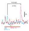 Two-photon calcium responses to tonal stimuli recorded at 140 ms intervals.<strong>&nbsp;</strong>Averaged traces (mean and S.E.M.) of âˆ†F/F0 in 44 neurons stained with Cal-520 AM. The red trace represents responses to 20 kHz stimuli lasting for 7s, and the blue trace shows responses to 20 kHz stimuli lasting for 1s in the same neurons. The off-responses to stimuli lasting for 7 s were significantly larger than the on-responses to stimuli lasting for 1 s (P&lt;0.0001). Source: <strong>Auditory cortical field coding long-lasting tonal offsets in mice</strong> by Baba et al., <em>Scientific Reports</em>, Sep. 2016.