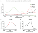 Two-photon excitation spectra of Cal-520, Cal-590 and Cal-630. (A) Two-photon excitation spectra of the three dyes, indicated in green (Cal-520), red (Cal-590) and black (Cal-630), measured for an excitation spectrum between 850 nm and 1100 nm in steps of 50 nm. The single data points are interpolated with a polynomial function for display. (B) Two-photon excitation spectrum of Cal-590 for wavelengths between 1010 nm and 1100 nm measured in steps of 10 nm. (C) Same as in (B) but for Cal-630 between 1000 nm and 1225 nm, measured in steps of 25 nm. Source: Birkner, Antje. Development of a deep two-photon calcium imaging method for the analysis of cortical processing in the mammalian brain. Diss. Technische Universität München, 2019.