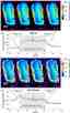 Ca<sup>2+</sup> dynamics and muscle displacement of the beetle leg muscle under electrical stimulation with multiple pulse trains (100 Hz, 10% duty cycle, 2 V) for 3 s. Pseudocolor time series images of beetle leg muscle dosed with (A) Fluo-8 (60 &micro;M) and (C) Cell Tracker (60 &micro;M) indicators. ROIs are indicated by yellow region (as also shown in S1B Fig.). The color scale is given on the right side of each image (A) or (C) respectively. Fluorescence intensity dynamics of (B) Fluo-8 and (D) Cell Tracker under electrical stimulation, digitized with ImageJ software from the ROI shown in (A) and (C) respectively. The stimulus timing is indicated by grey shading. The Fluo-8 pseudocolor images illustrate the fluorescence intensity dynamics that correspond to the Ca<sup>2+</sup> dynamics inside the leg muscle: it increased at the start of electrical stimulation, was maintained during the application of the stimulus, and finally slowly decreased after the stimulus stopped. The Cell Tracker pseudocolor images display that the muscle displacement also causes intensity change during electrical stimulation, which slightly affects the Fluo-8 measurement. Source: Graph from <strong>Oral Dosing of Chemical Indicators for<em> In Vivo</em> Monitoring of Ca<sup>2+</sup> Dynamics in Insect Muscle</strong> by Ferdinandus et al., <em>PLOS,</em> Jan. 2015.