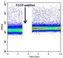 The&nbsp;FCCP induced intracellular Magnesium release was measured by Mag-520<sup>TM</sup>.&nbsp;Cells were incubated with Mag-520&trade; AM dye for 30 min at 37 &deg;C before 20 &micro;M FCCP was added into the cells. The baseline was acquired and the rest of the cells were analyzed after the addition of&nbsp;FCCP. The response was measured over time. The analysis was done on NovoCyte&trade; 3000 Flow Cytometer.